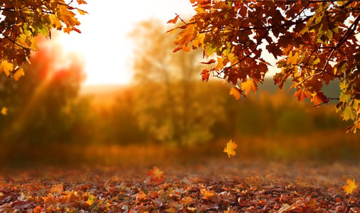 Fall