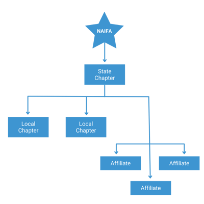 Updated Chapter Structure Graphic